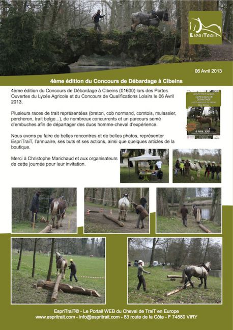 Concours Cibeins 2013